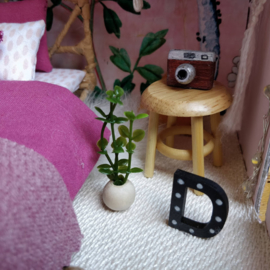 Blush Home