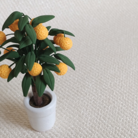 Orange Tree
