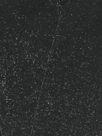 ONLY KOGVERA glitter panty