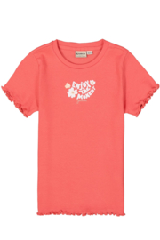 Garcia Shirt B54402