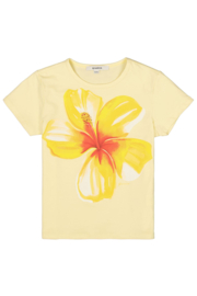 Garcia Shirt P262601