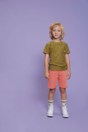 Sturdy Short - Desert Fiesta