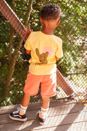 Sturdy Short - Desert Fiesta