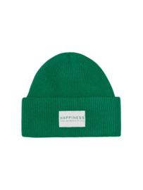 ONLY KOGALPHA LIFE BEANIE groen