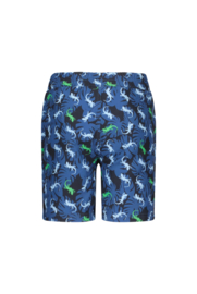 B.Nosy Boys swimshort