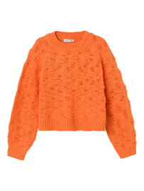 Name it NKFTIKSEN LS Oranje