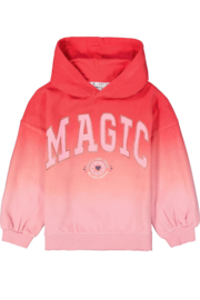 Garcia Sweater U44461