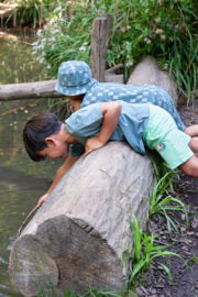 Sturdy Short - Lagoon Legends