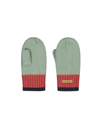 Barts Dicey MITTS sage