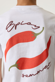 Garcia Shirt Q263403