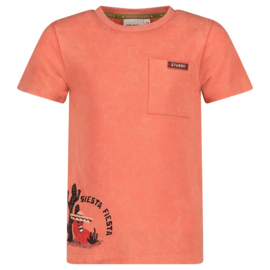 Sturdy T-shirt - Desert Fiesta