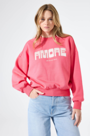 Garcia Sweater  N260261 Rose Garden