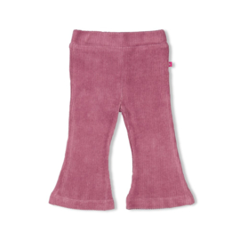Feetje Flare broek velours rib - Forest Fancy