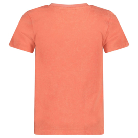 Sturdy T-shirt - Desert Fiesta