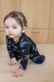 Feetje Davy Dino - Premium Sleepwear by Feetje