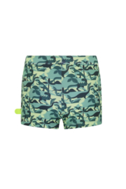 Just Beach boys Nevada