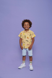 Sturdy Sokken - Desert Fiesta