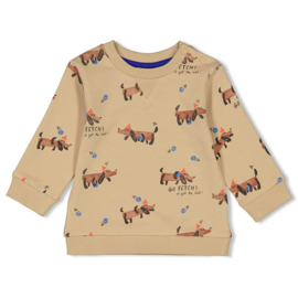 Feetje Sweater AOP - Go Fetch D9
