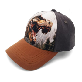Maximo Pet Dino