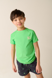 Tumble'n Dry Paul Swim