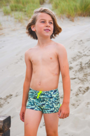 Just Beach boys Nevada