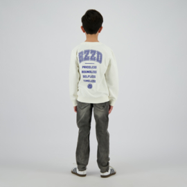 Raizzed Berlin Vintage Grey D40