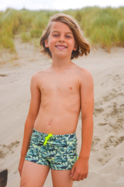 Just Beach boys Nevada