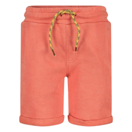 Sturdy Short - Desert Fiesta