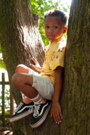 Sturdy Short denim - Summer Denims