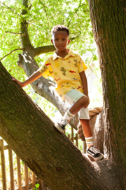 Sturdy Polo AOP wafelstructuur - Desert Fiesta