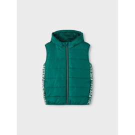 Name it  NKMMYLANE VEST COLOR BLOCK