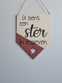 Ster in lesgeven