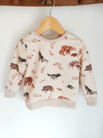 Sweater printje naar keuze