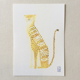 Postkaart A6 | Cheetah | 1 stuk