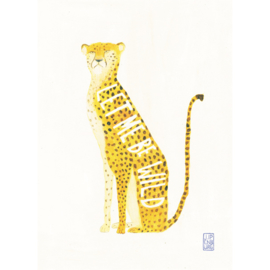 Postcard A6 | Cheetah | 5 cards