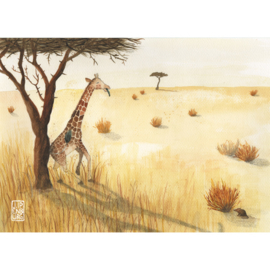 Kaart A5 | Giraffe | 3 x 1 stuks
