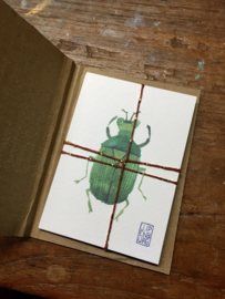 Kaartjes A7 | Bugs and beetles | 10 x 1 stuks