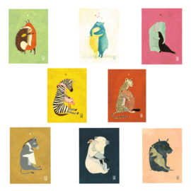 A6 | Hugs Mix 3 | 8 x 1 stuks