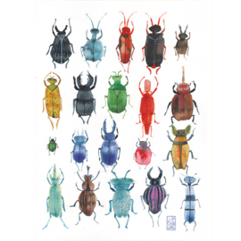 Poster A2 | Bugs and Beetles