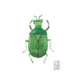Kaartjes A7 | Bugs and beetles | 10 x 1 stuks
