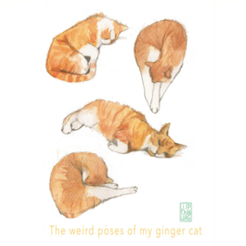 Card A5 | The weird Poses of my Ginger Cat | 2 cards