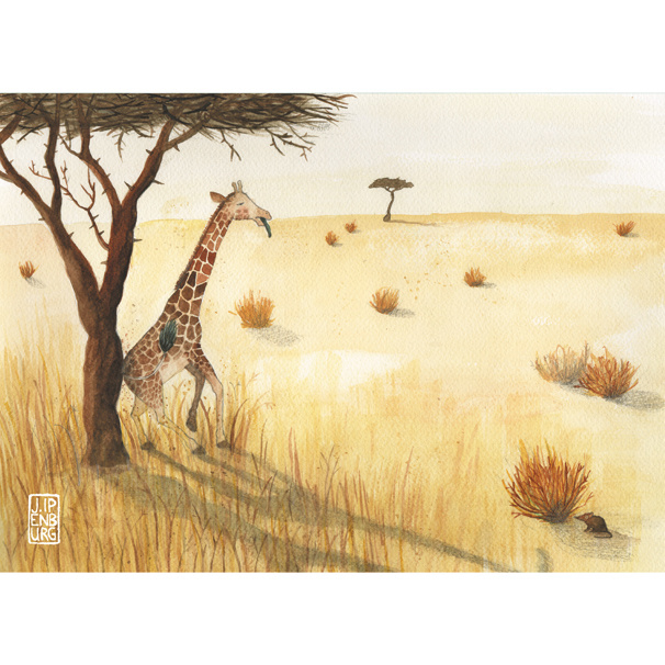 Kaart A5 | Giraffe Savanne | 2 stuks