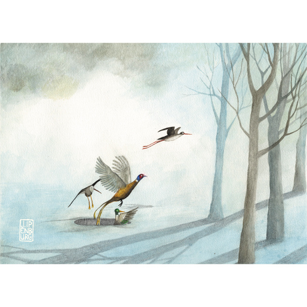 Postcard A6 | Birds and Trees | 1 card