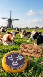 Gras kaas
