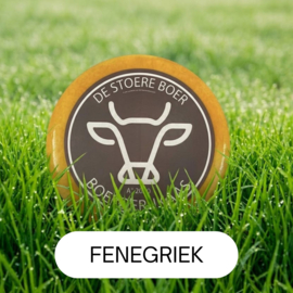 Fenegriek