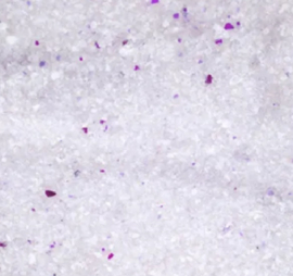 Kattenbakvulling Silica met babypoeder Fijne korrels Klonterend  15 L