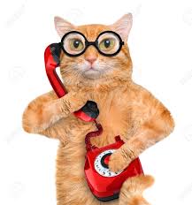 Contact