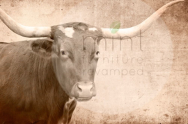 Mint by Michelle Decoupage - Texas Longhorn A1