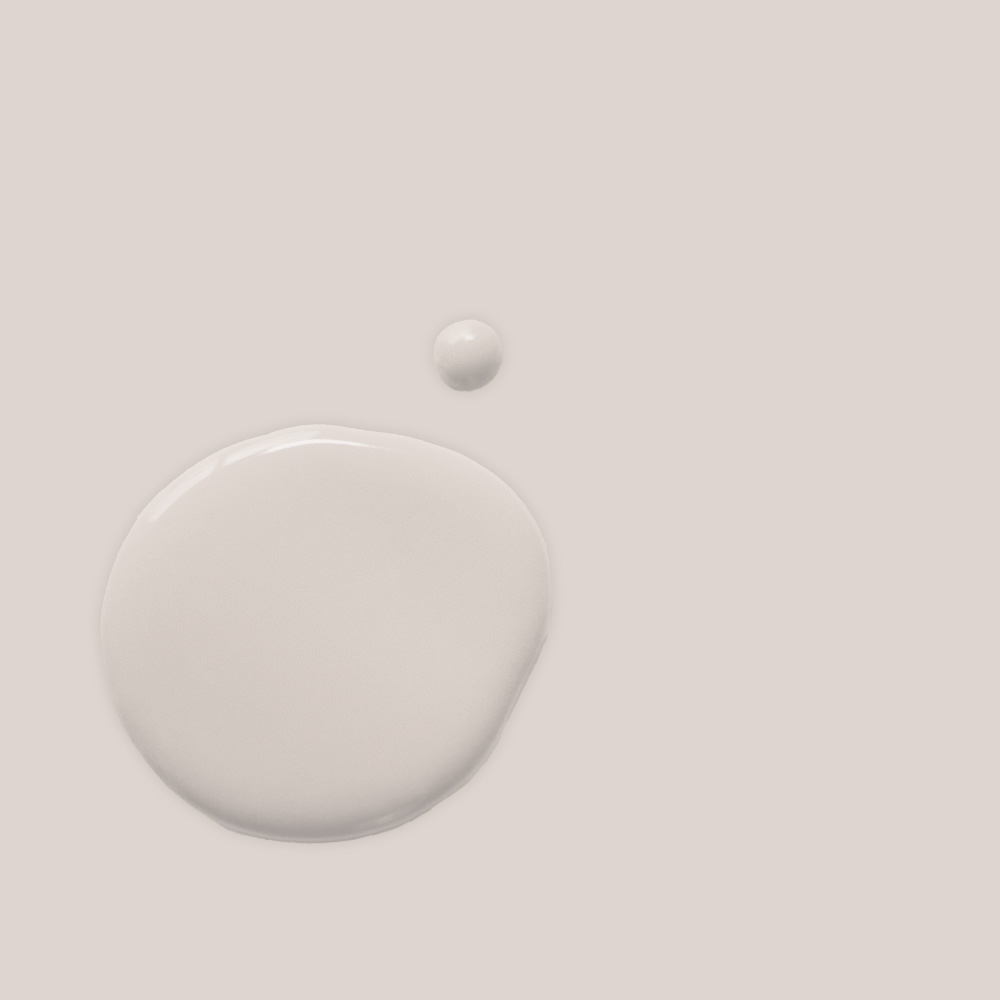 Chalk Paint 120ml Rococo White