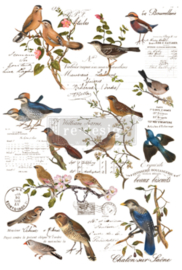 Transfer Redesign - Postal Birds (60,96x88,90 cm)